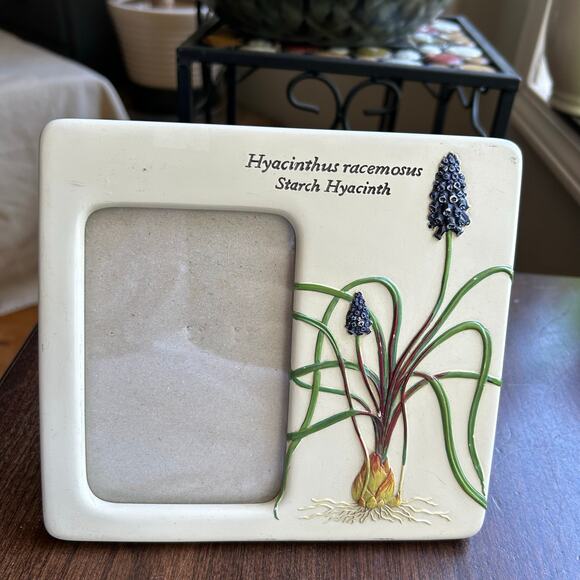 CARR Picture Frame Ceramic Botanical Garden Hyacinth Flower Bulb SPRING #175 - Picture 1 of 7